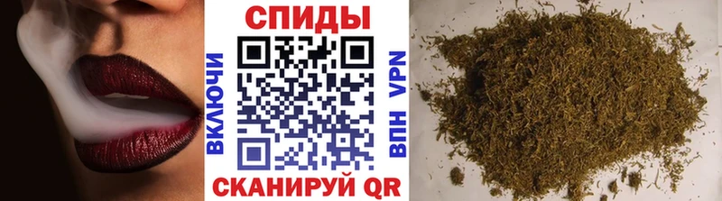 Купить закладки  Шарья  Бутират BDO 